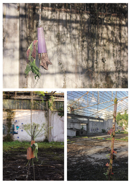 File:ArranjosRuderais flora.png